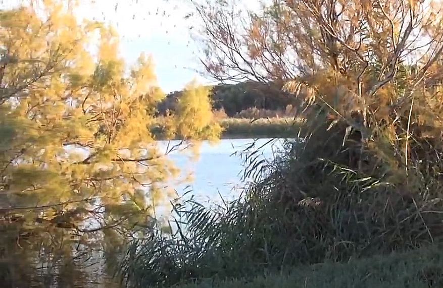 Catania Riserva naturale Oasi del Simeto Sicilia Notizie, Turismo Itinerari Struture Catania Riserva naturale Oasi del Simeto Sicilia Notizie, Turismo Itinerari Struture