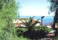 foto_a.jpg (25320 byte)